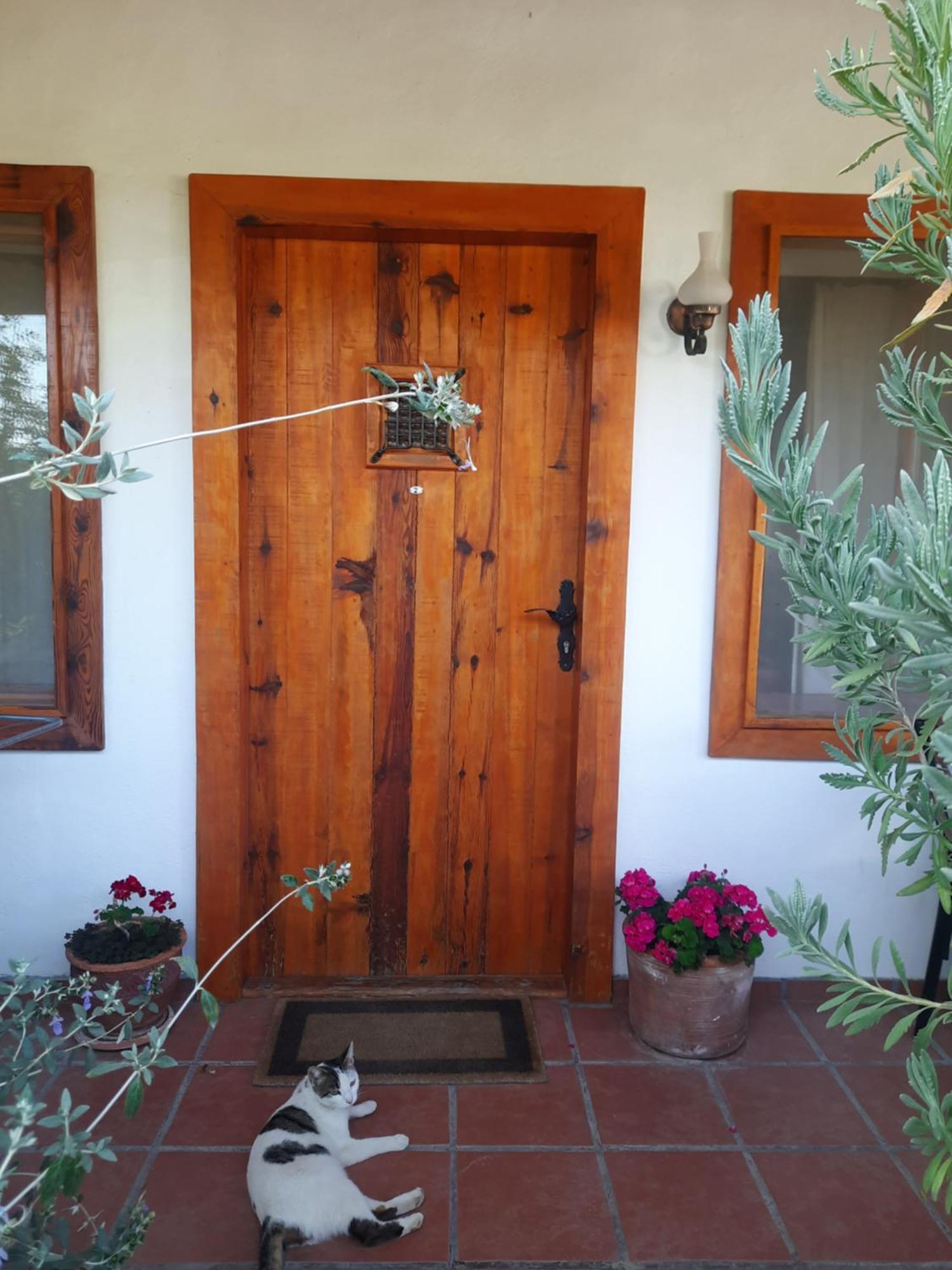 Ionia Guest House Aydin Exterior foto
