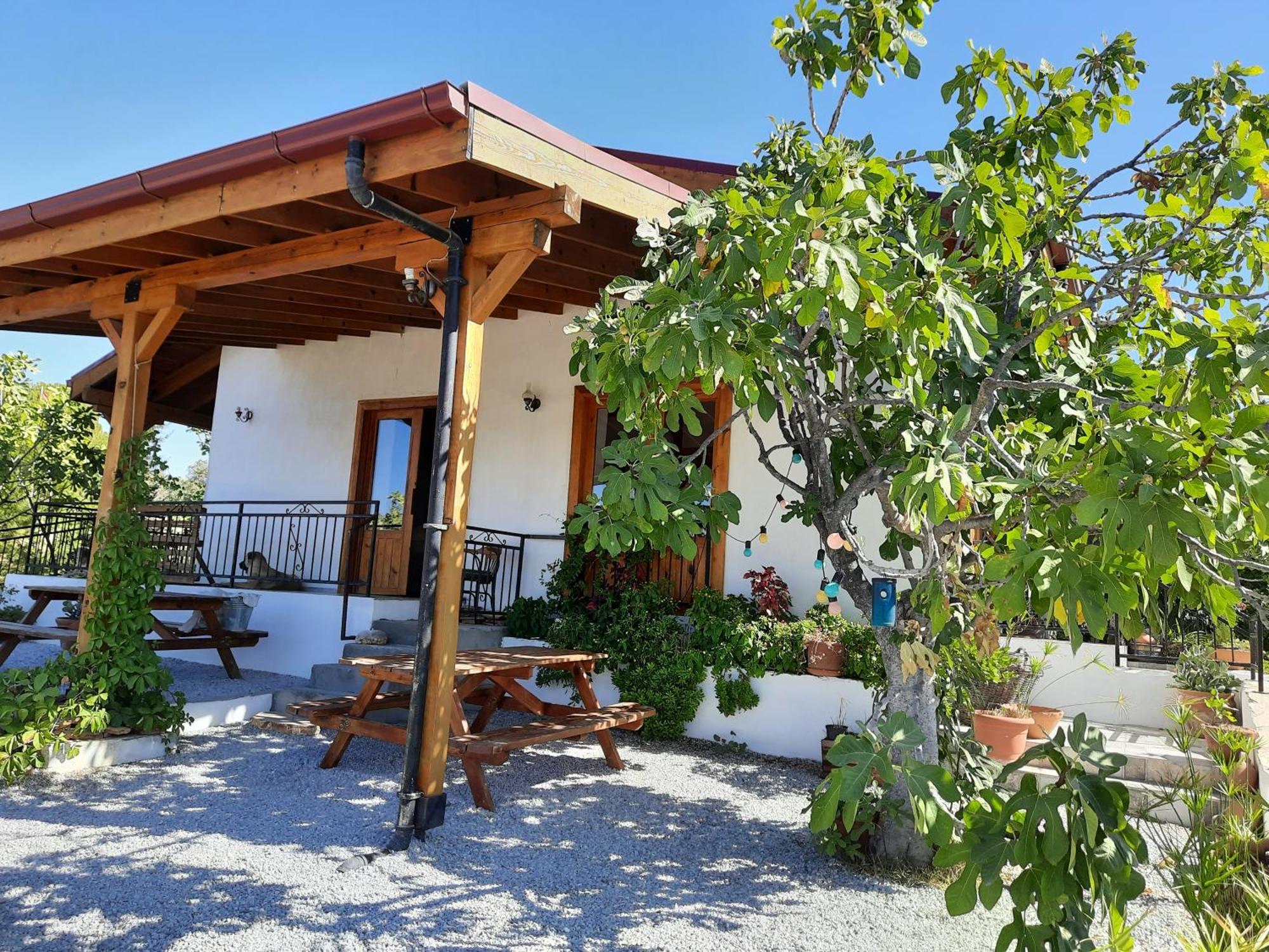 Ionia Guest House Aydin Exterior foto