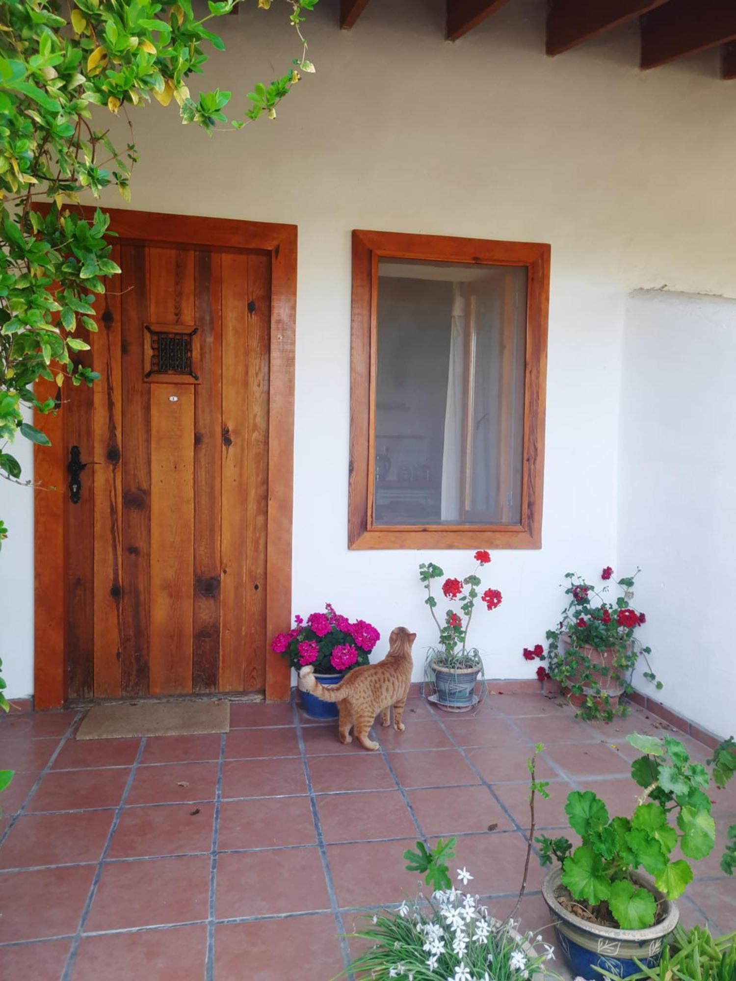 Ionia Guest House Aydin Exterior foto