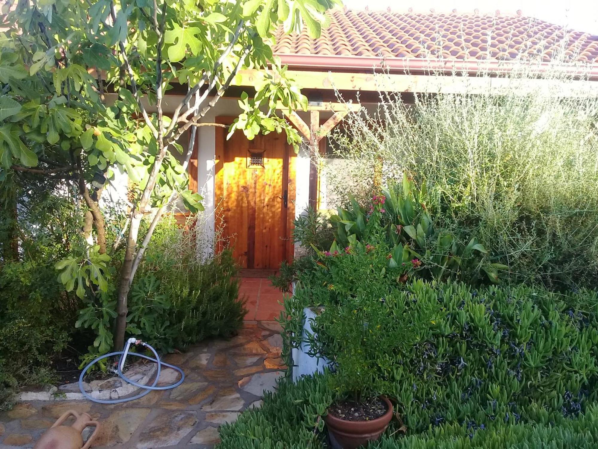 Ionia Guest House Aydin Exterior foto