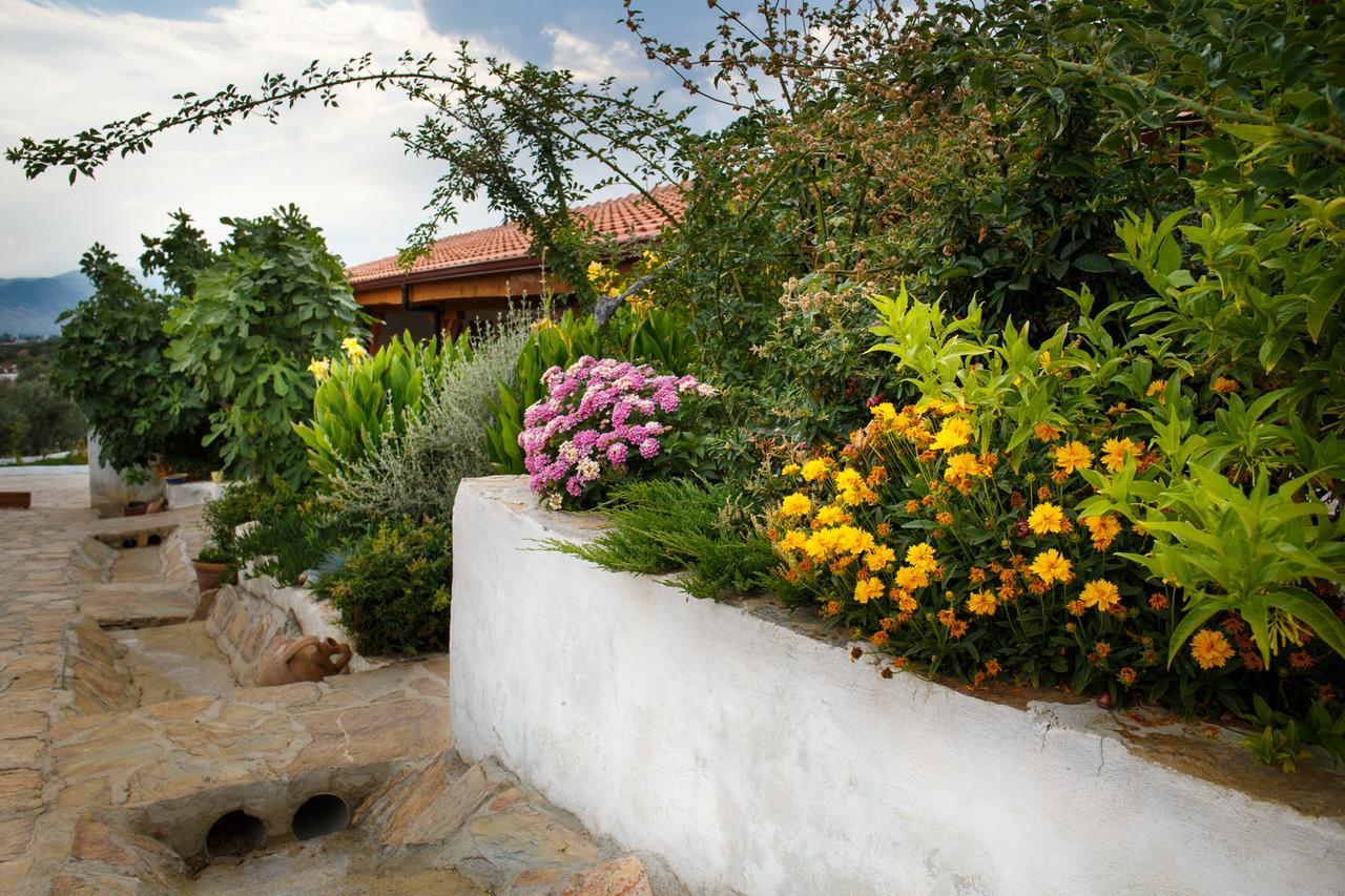 Ionia Guest House Aydin Exterior foto
